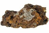 Sandwich Wulfenite Crystal Cluster - Ojuela Mine, Mexico #183422-2